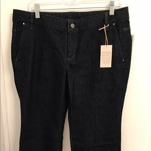NWT Ann Taylor Dark Wash Modern Fit Sz 12 Jeans